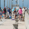 What fish are in season at wrightsville beach?